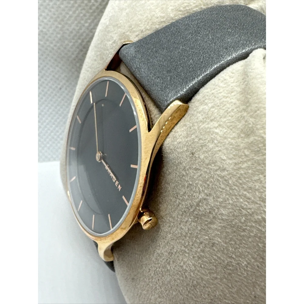 Skagen Holst SKW2346 Women's Grey Leather Analog Dial Quartz Wrist Watch AEA285